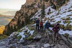 timp2023-1