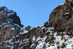 timp2023-11