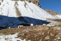 timp2023-9