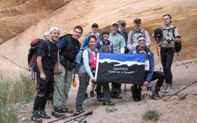 DCFAC XV – Zion National Park (2012)