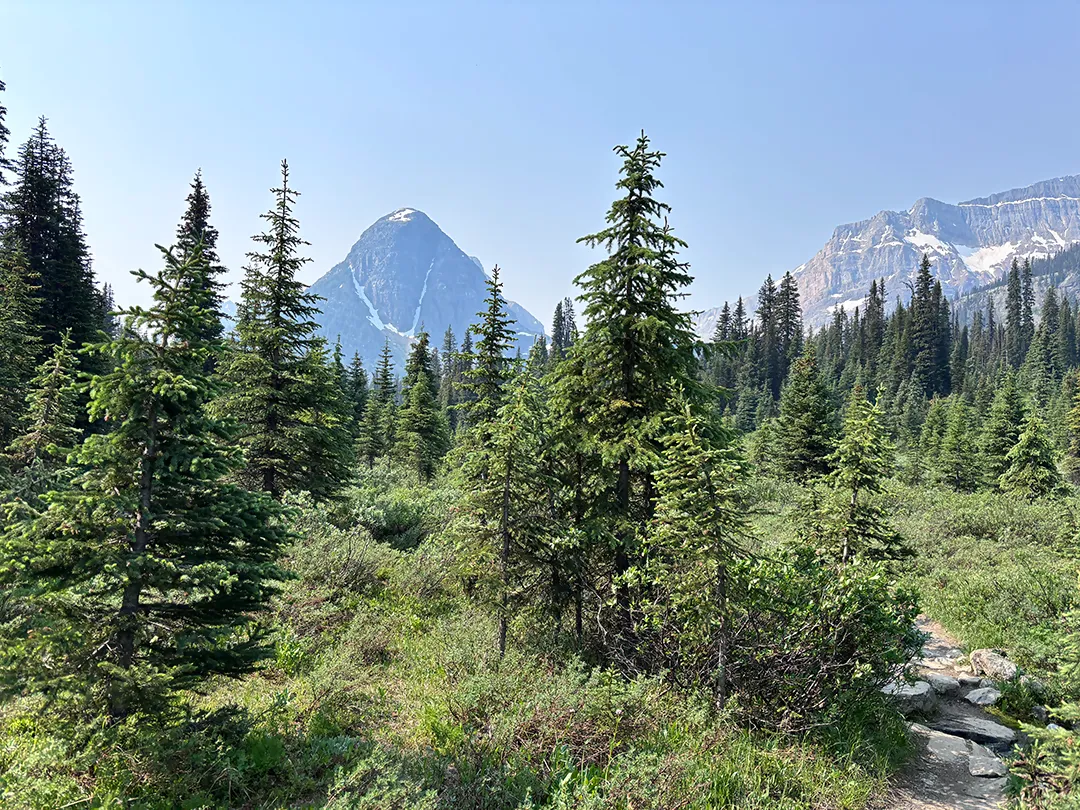 EgyptLakeTrail-1 The Egypt Lake Trail